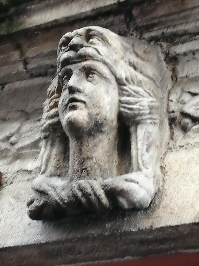 Logis Du Cagaire Apartment Le Puy-en-Velay Luaran gambar